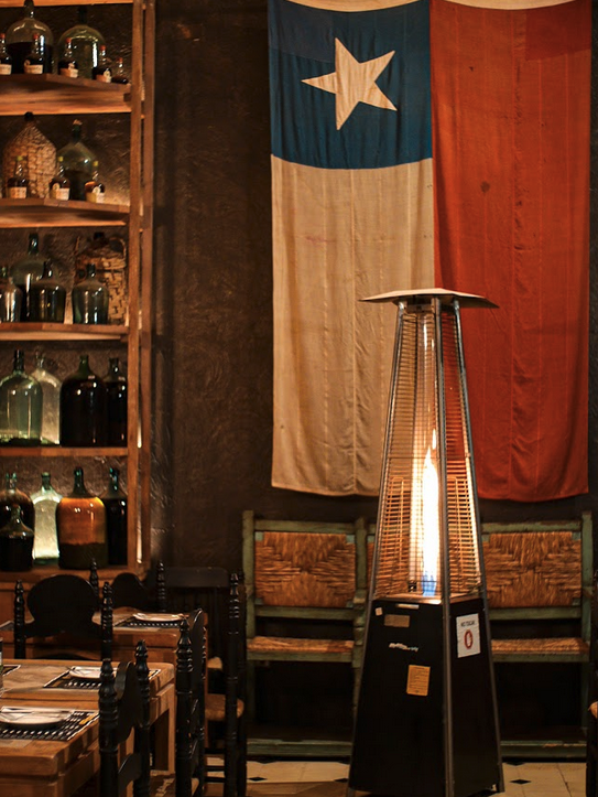 salon-bandera-1